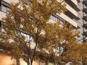 IDEAL INVERSION VENTA DEPTOS EN POZO FRENTE A LA CAÑADA