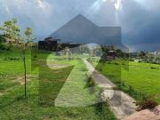 Ideal Location 5marla plot Available For sale in I 16/4...