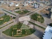 Ideal Location 80 Yards Plot