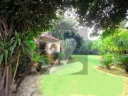 Ideal Location Kanal House 1 Kanal Lawn Full House Is...