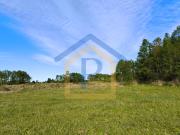 ¡Ideal para vivir o invertir! Parcelas de 5.000 m2 en...
