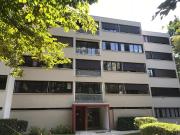 IDEAL POUR COMMENCER OU INVESTISSEMENT