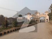 Ideal Prime Location 10 Marla House Available In Shah...