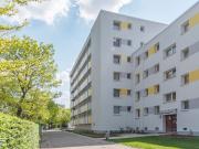 Ideale Singlewohnung! Ideale Singlewohnung!