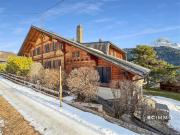 Großes Chalet mit 4 Wohnungen