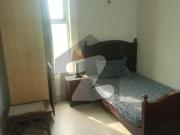 Idol Furnished Apartment Male/ Female Main Market