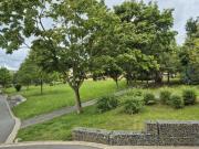 IDYLLISCH GELEGENE WOHNUNG MIT DUSCHE!