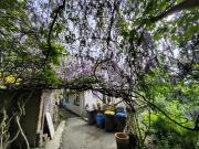 Idyllisch gelegenes Einfamilienhaus mit großem...