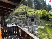 Idyllisch Renoviert Rustico in Mornera Monte Carasso