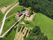 Idyllische alte Apfelplantage mit Wald, Wohnhaus,...