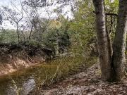 IDYLLISCHE LAGE MIT ZUGANG ZU BACHLAUF
