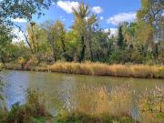 IDYLLISCHE LAGE NAHE SCHILLERWASSER BZW. MÜHLWASSER