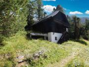 Idyllisches Almhaus mit Charakter auf der Turrach !