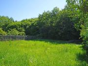 Idyllisches Baugrundstück mit Ganztagssonne am Waldrand...