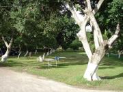 Quinta en Campo Nuevo, Emiliano Zapata, Morelos