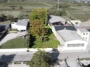 Ihr Baugrundstück in sonniger Lage von Langenlois –...