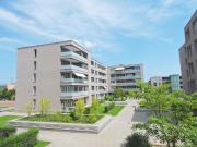 Ihr gemeinsamer Rückzugsort – modern wohnen in Rheinfelden!