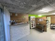 Ihr neues Atelier im Grünen!