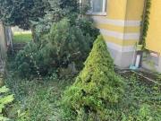 Ihr neues Zuhause: Halbes Doppelhaus in ruhiger Gegend