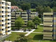 Ihr neues Zuhause im Gyrischachen