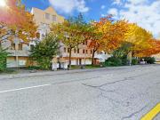 Ihr neues Zuhause in der Nähe der Limmat?