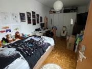 Ihr neues Zuhause in Mauthausen – Familienwohnglück im...