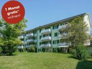 Ihr neues Zuhause in Olten