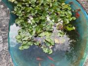 Dieses schöne Haus hat neue Eigentümer gefunden! Ihr...