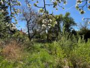 Ihr Platz zum Ankommen Baugrundstück in ruhiger Lage von...