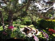Ihr Sommerrefugium nahe Wien mit 1.300 m² Garten – Pool,...