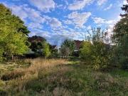 IHR TINY HAUS BEGINNT HIER