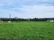 Ihr Familien Traumgrundstück in Erlau NÄHE Andorf, Schärding