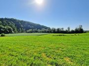 Ihr Unternehmensstandort mit Zukunft – Betriebsbaugrund...