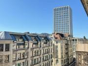 Ihre sonnige Stadtwohnung mit Cheminée!