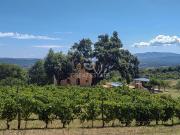 Il Rifugio del Sughero 205m² Roccastrada