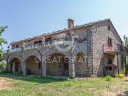 Il Viale dei Tigli 535m² Montegabbione