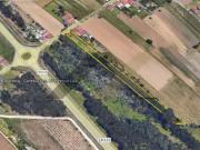 Ílhavo Ílhavo 88263719