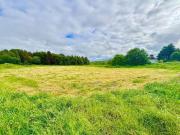 Illaun, Milltown, Co. Galway is for sale