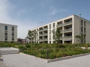 IM EICHFELD mein Jona, mein Zuhause