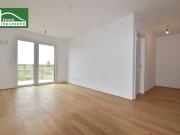 Im Grünen mit guter Anbindung an die Innenstadt – hier...