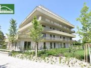 Riesige und sonnige Süd Terrasse _ Provisionsfreier...