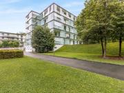 Im grünen und fast im Wald