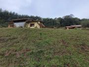 ImÃ³vel com 3 quartos no Centro, Morro Reuter