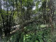 Imóvel no Travessão, Dois Irmãos