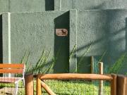 Imóvel para aluguel com 36 metros quadrados com 1 quarto...