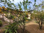 Imóvel para aluguel com 477 metros quadrados com 4...