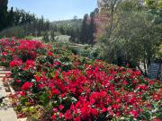 Imóvel para aluguel e venda possui 790 metros quadrados...