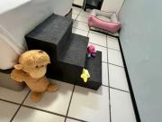 Imóvel para venda no Turu São LuÃs MA Imóvel para venda no Turu São LuÃs MA