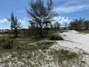 Casa Ã venda de 103 m2 com 4 quartos em Codominio com...