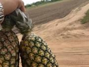 ImÃ³vel para venda em aldeia camaragibe tem 675 metros...